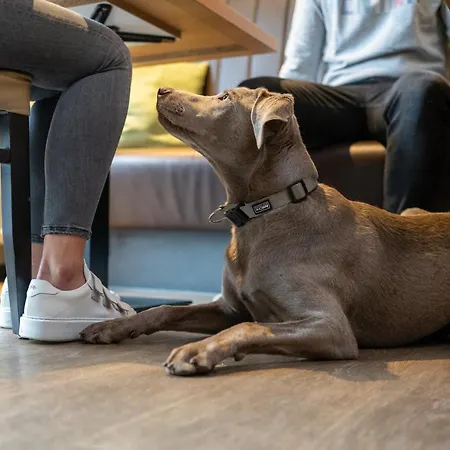 Stadthotel מלון 3*